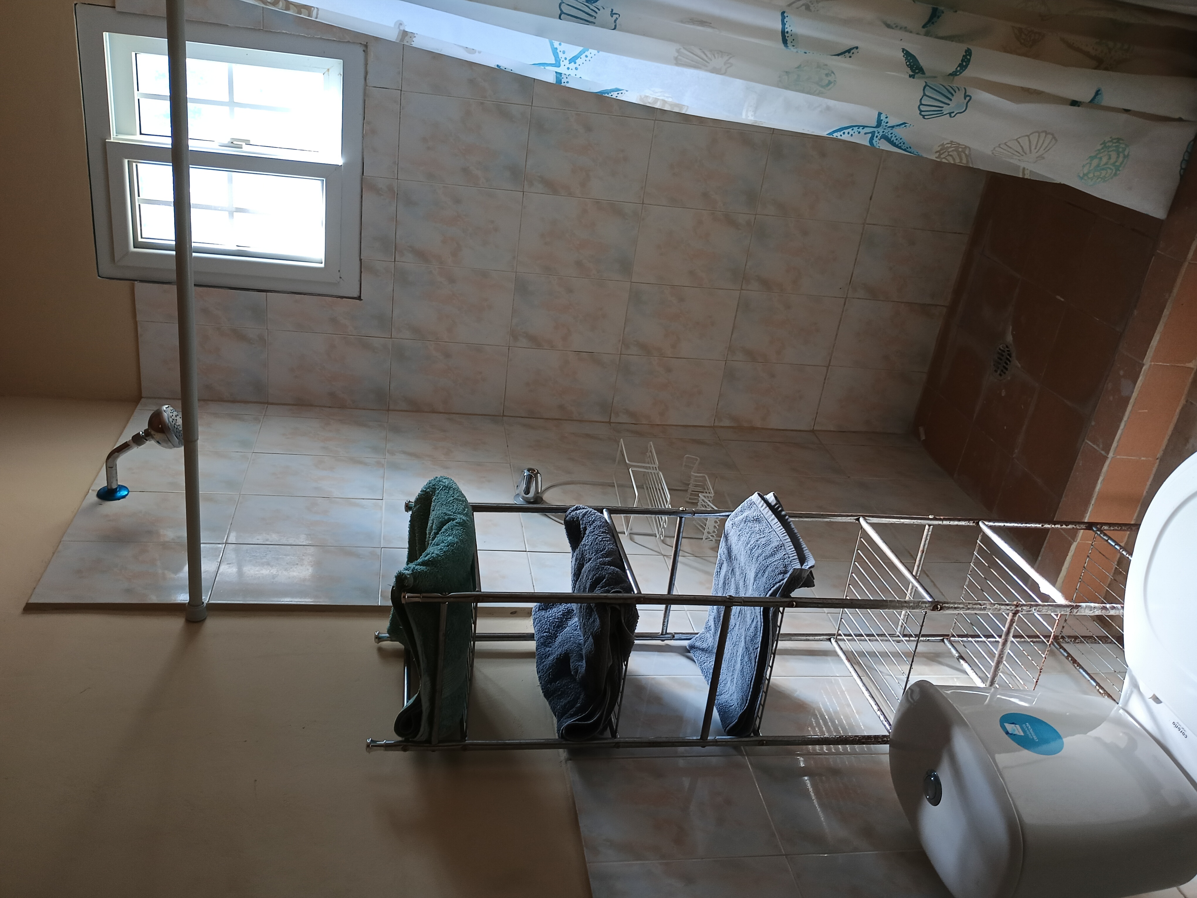 Bathroom with shower and towel rack