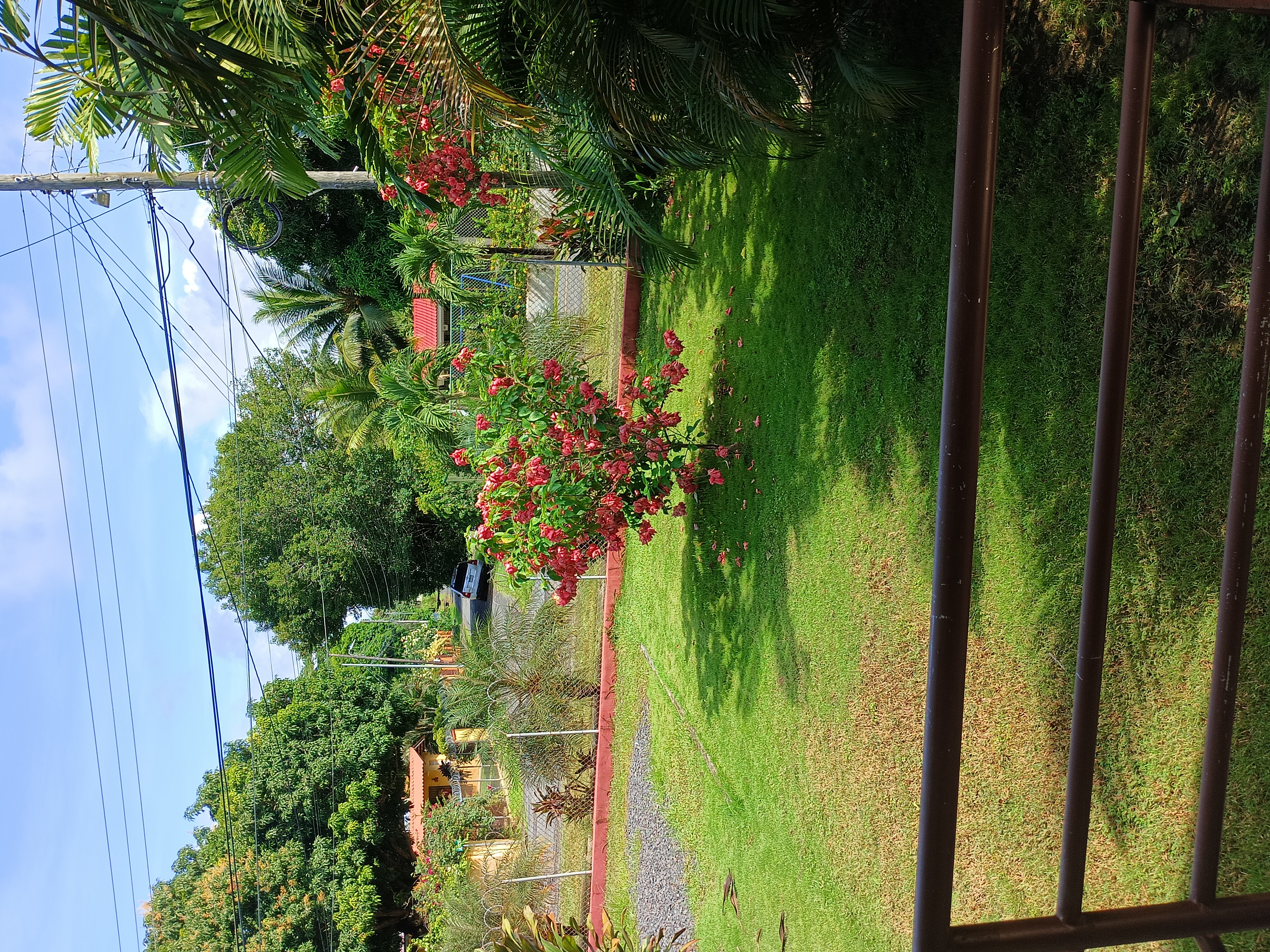 View from 1-bedroom deck over garden